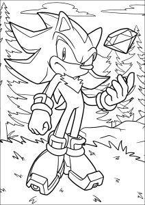 Sonic the hedgehog