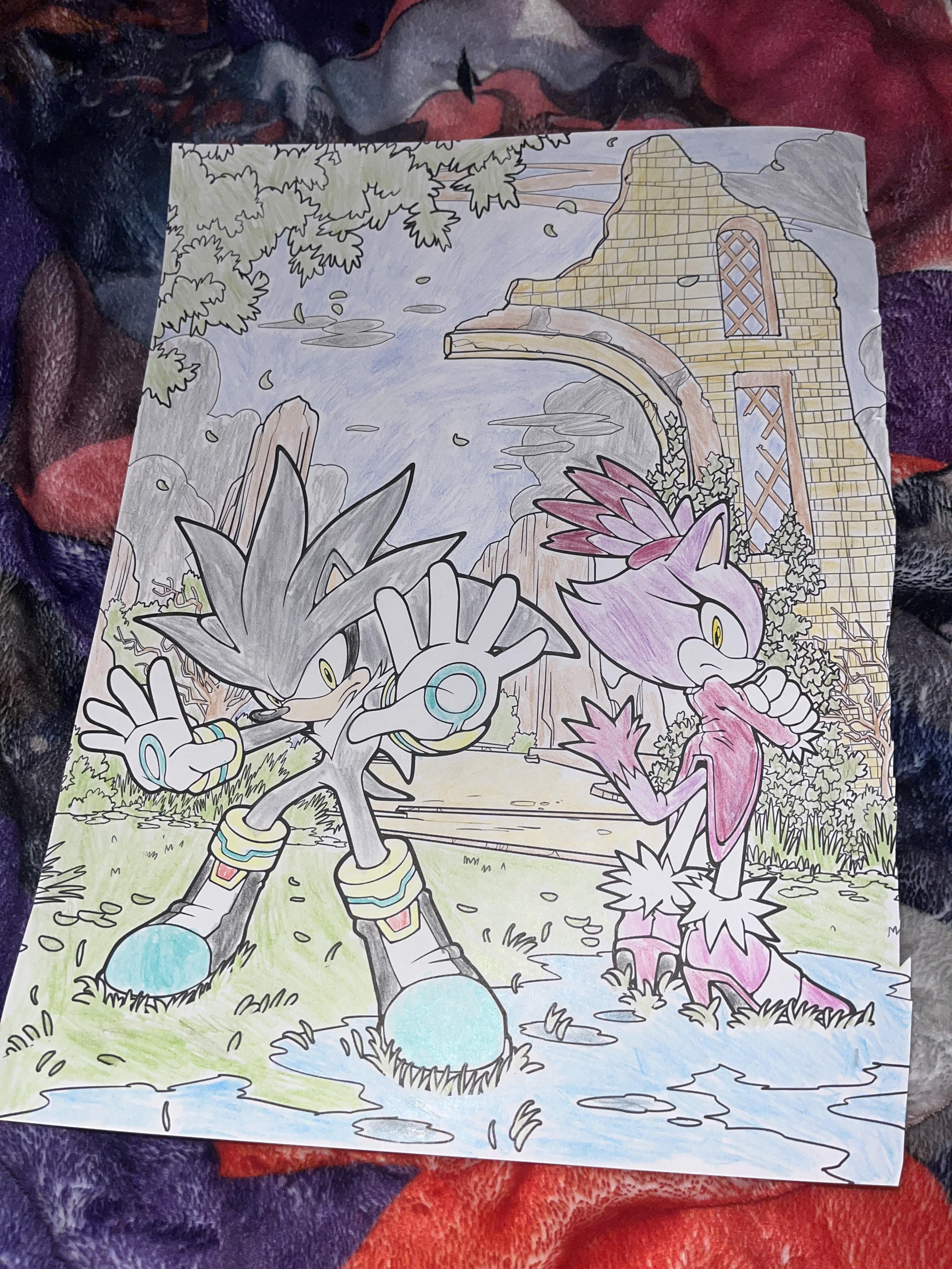 Silver and blaze from official sonic coloring book rsonicthehedgehog