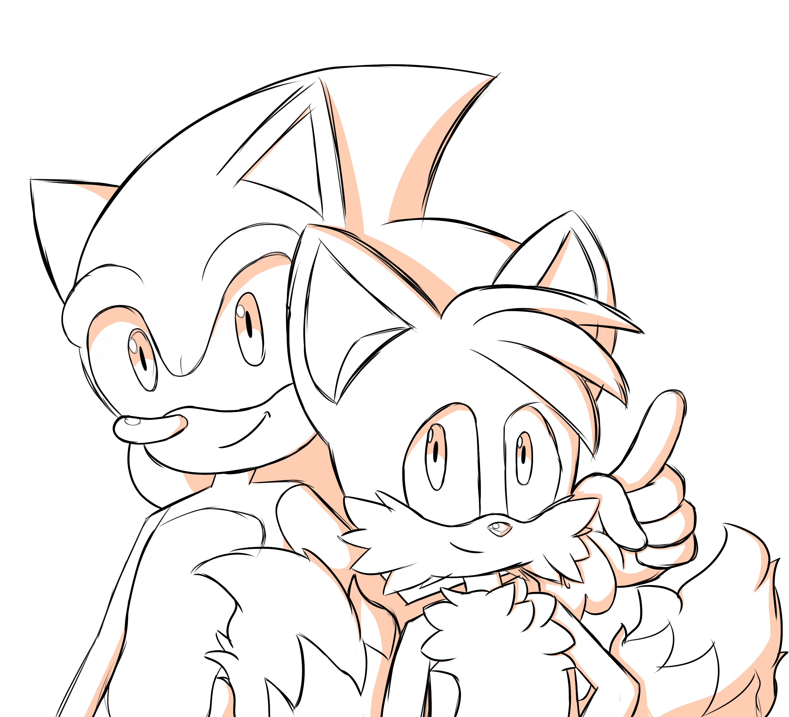 Sonic and tails rsonicthehedgehog