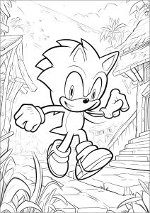 Sonic the hedgehog