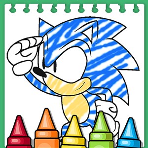 The hedgehog coloring book pages