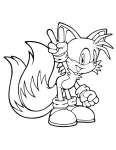 Sonic the hedgehog