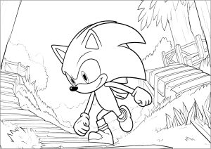 Sonic the hedgehog