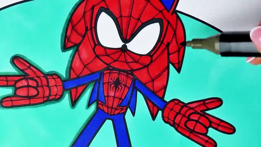 Sonic spider