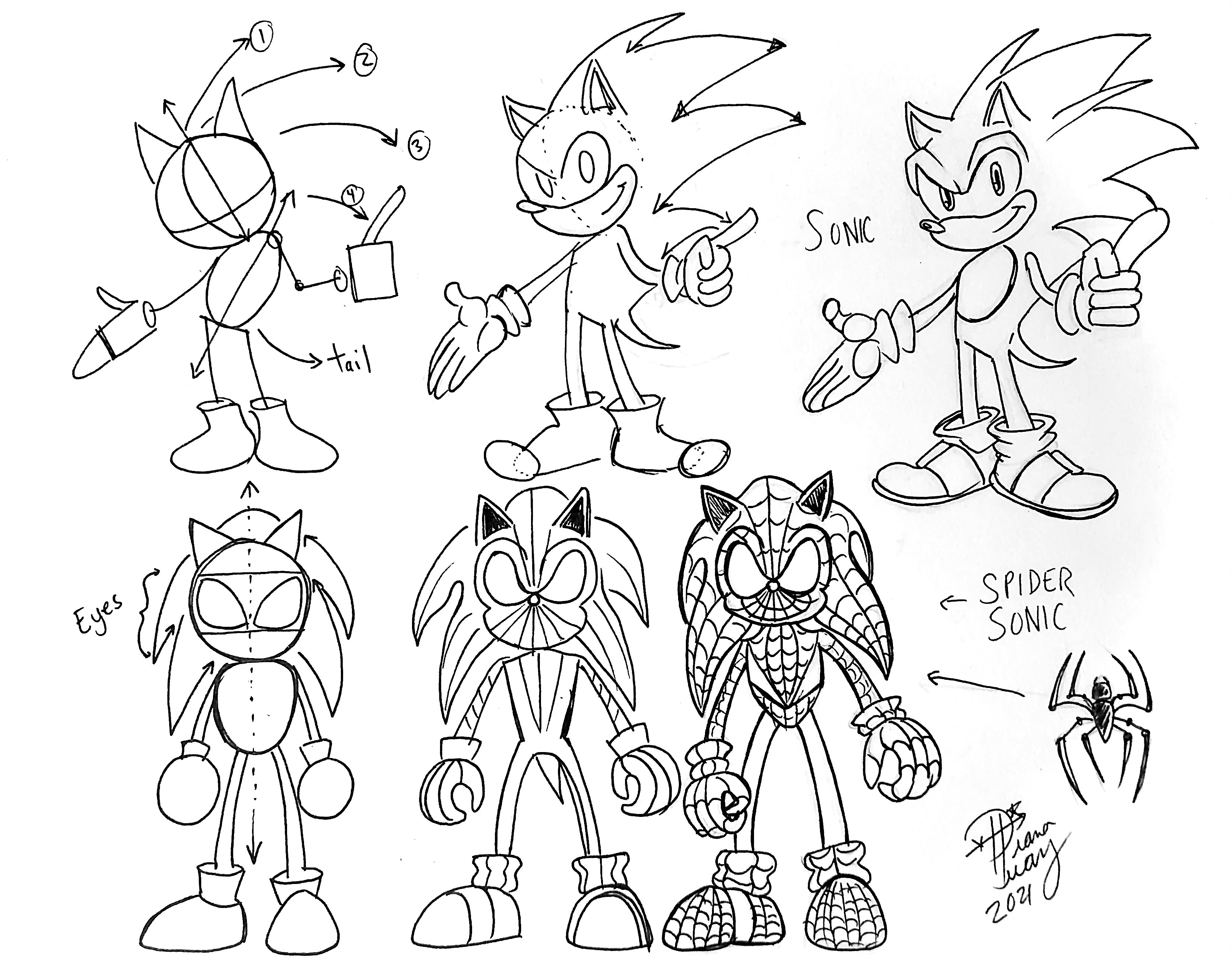 Draw sonic and spider sonic by diana