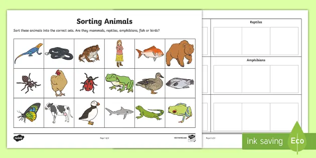 Sorting animals into groups worksheet