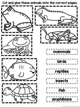 Animal groups printable book sorting worksheets posters tpt