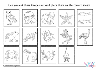 Animal classification sort photos