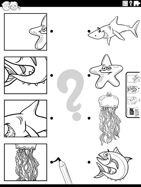 Sea life animal sort stock illustrations royalty