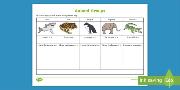 Sorting animals into groups worksheet