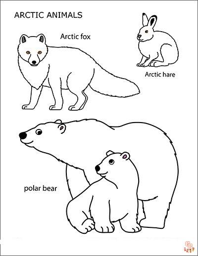 Arctic animal coloring pages gratis printbare ark kreativ sjov
