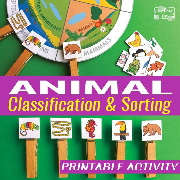 Animal classification and sorting printable activity