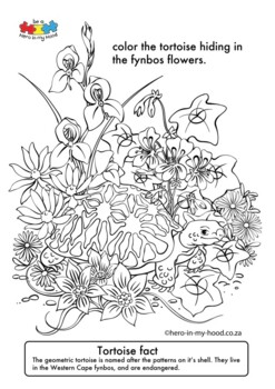 South africa coloring pages tpt