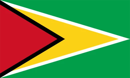 Flag of guyana