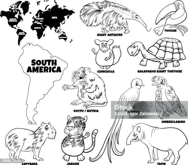 Cartoon south american animals set coloring book page stock illustration