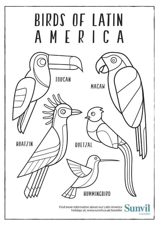 Birds of latin america coloring pages