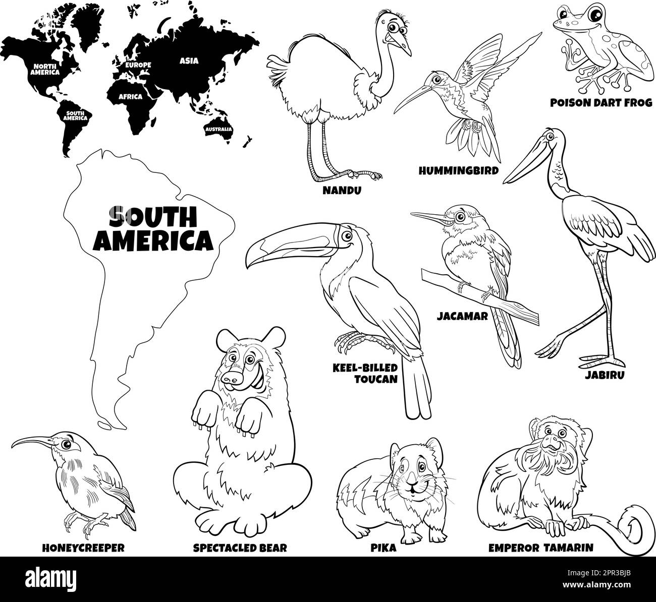 Cartoon south american animal species set coloring page stock vector image art