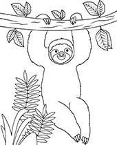 South america animals coloring pages