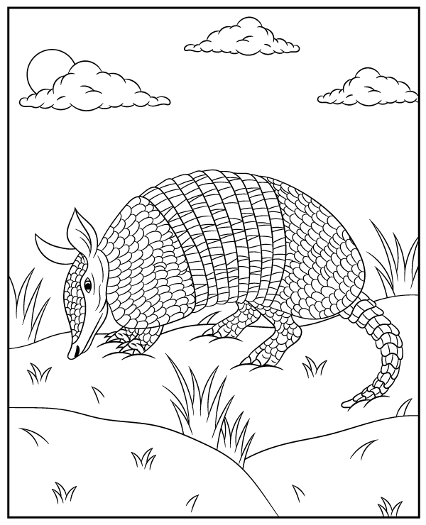 Armadillo coloring page animal