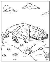 South america animals coloring pages