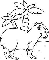 South america animals coloring pages