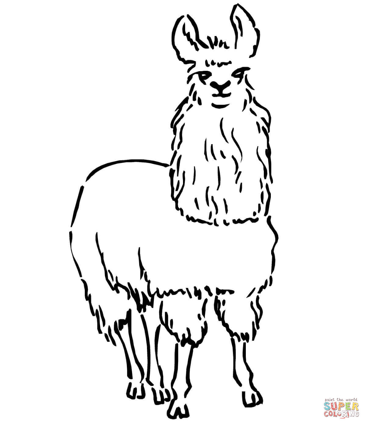 South american llama coloring page free printable coloring pages