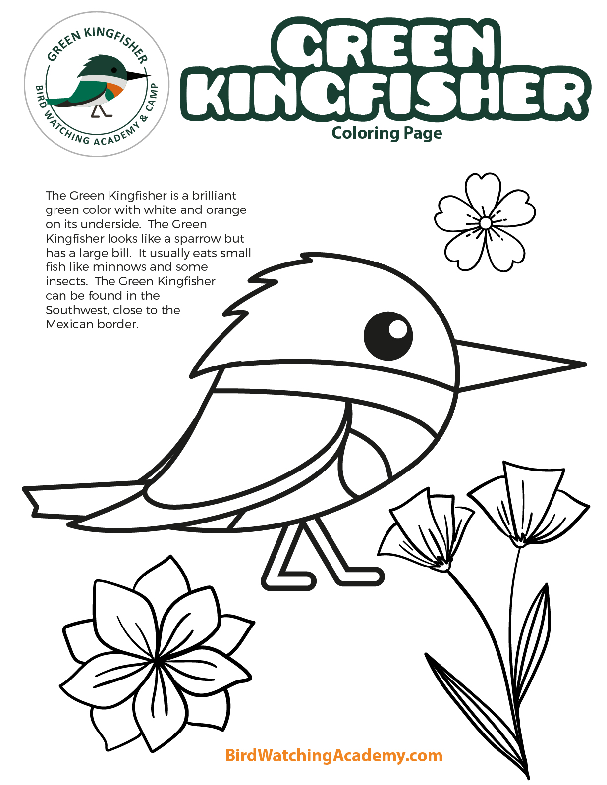 Green kingfisher coloring page