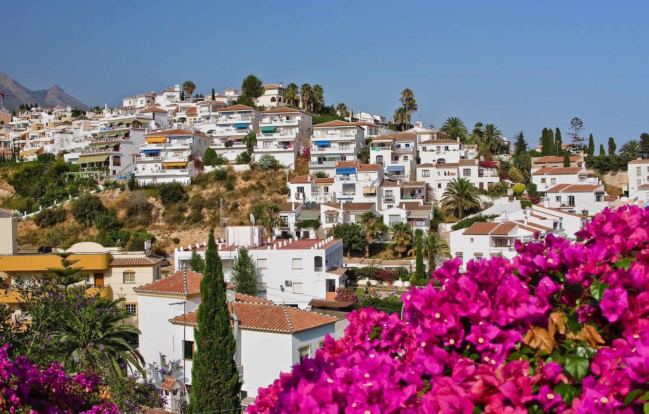 Wallpaper the sky flowers nature city the city palm trees home spain sky nature flowers houses spain palms nerja nerja images for desktop section ððñðð