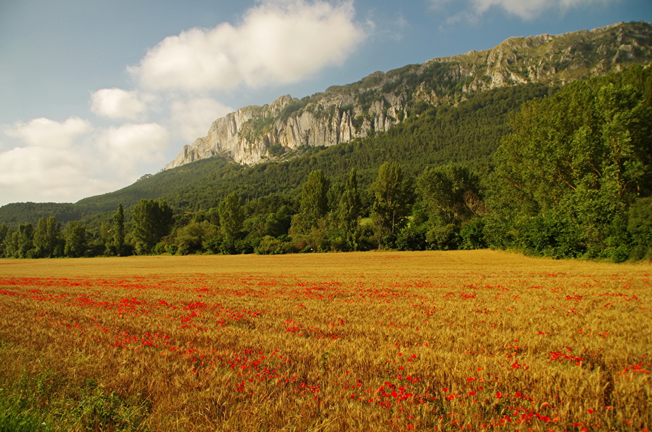 Wallpaper spain basque country nature fields scenery