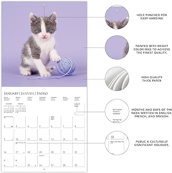 Graphique cute kittens wall calendar â x â thick paper home office organizer large monthly grid languages marked holidays month preview page for everything else