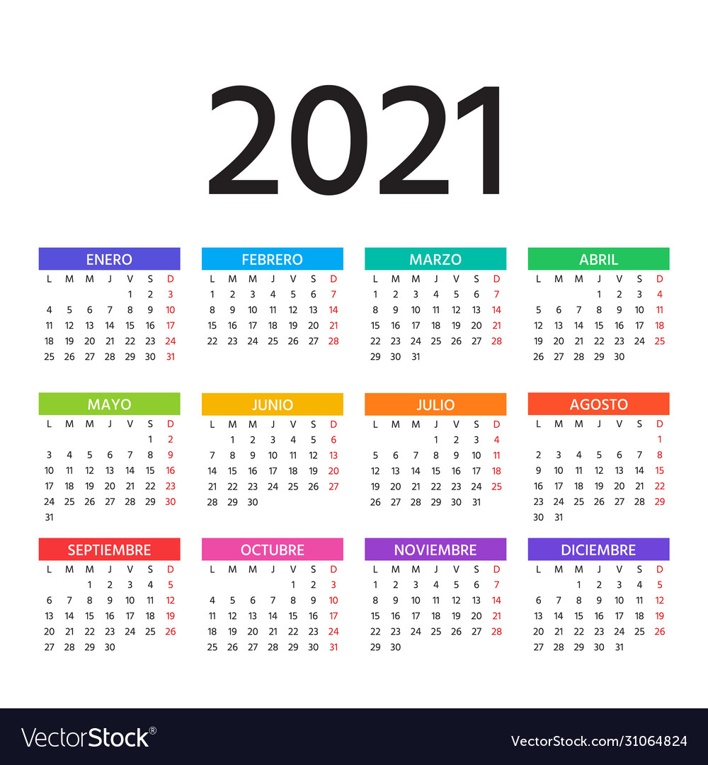 Spanish calendar template layout year vector image