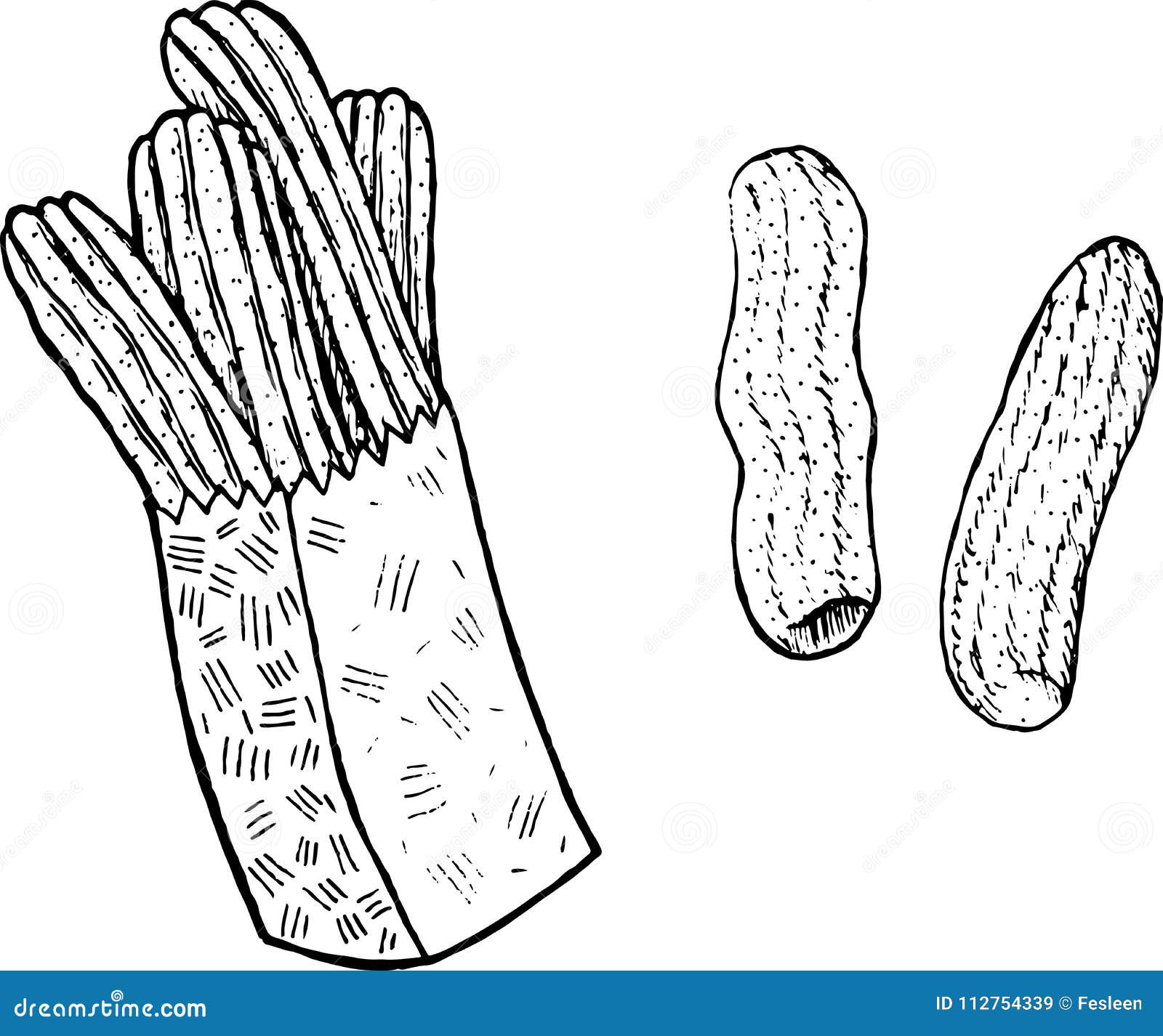 Doodle coloring page for adults with churros ink art with spanish food stock vector