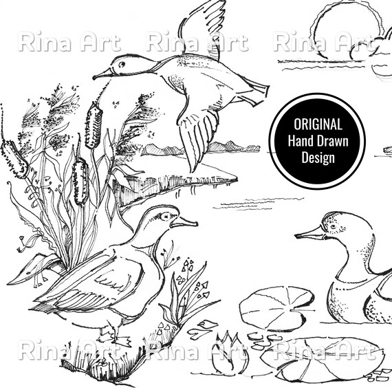 Ducks on the lake coloring page printable adult colouring pages book download grayscale illustration jpg pdf