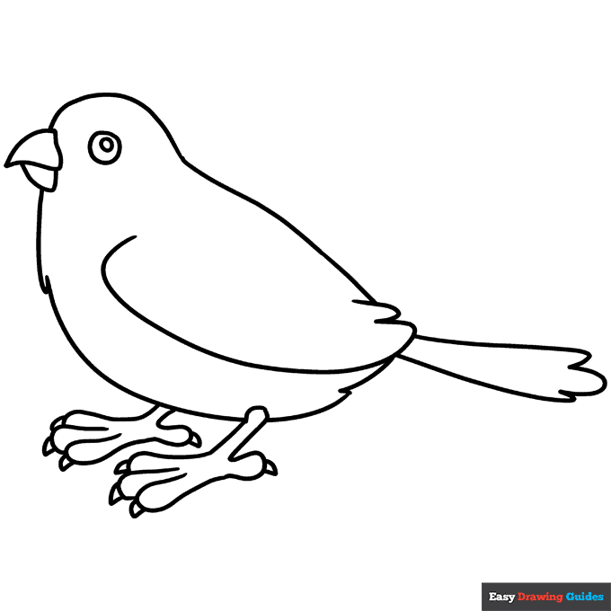 Sparrow coloring page easy drawing guides