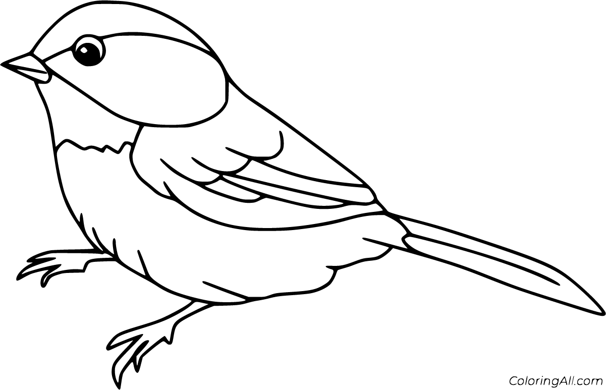 Free printable sparrow coloring pages in vector format easy to print from any device and automaticâ bird painting acrylic coloring pages easy coloring pages