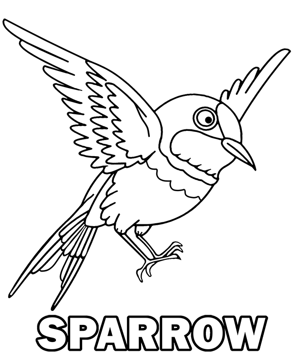 Flying sparrow coloring page for kids