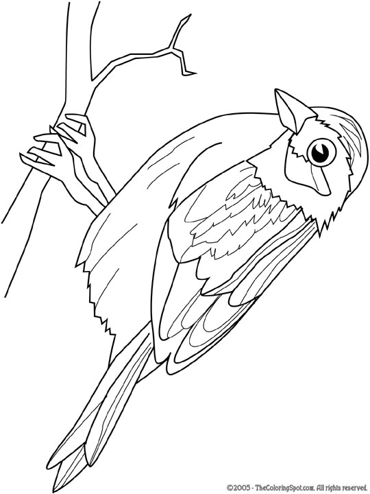 Sparrow coloring page audio stories for kids free coloring pages colouring printables