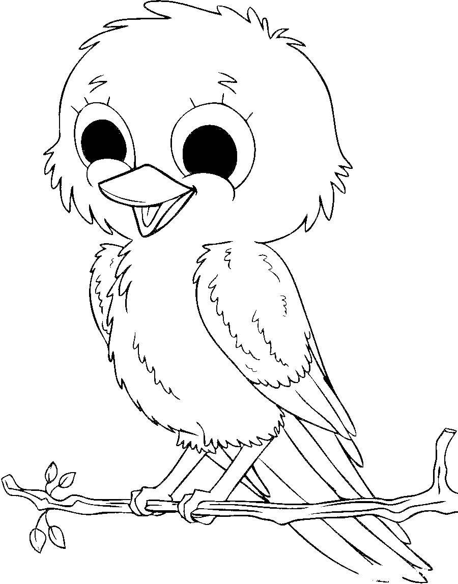 Online coloring pages sparrow coloring sparrow on a branch birds