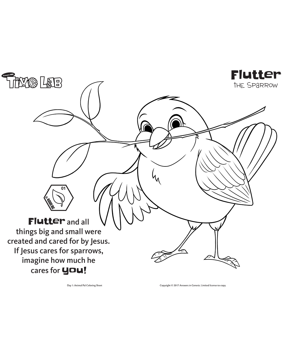 Flutter the sparrow kids coloring activity kids answers