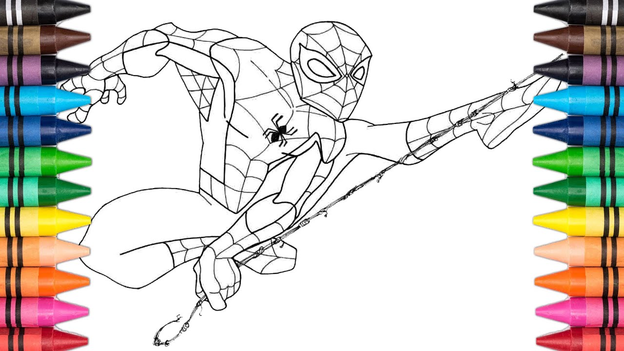 Spectacular spider