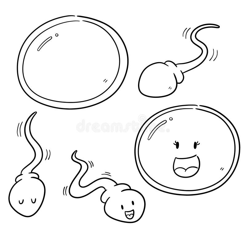 Smile sperm stock illustrations â smile sperm stock illustrations vectors clipart