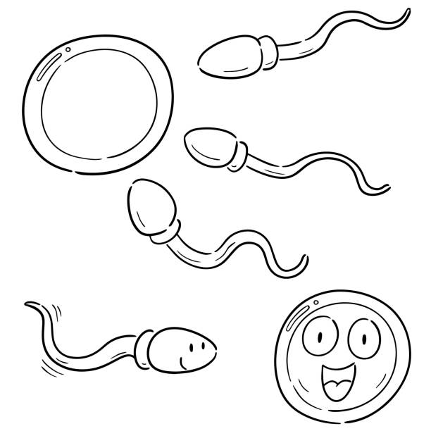 Sperm smiling stock illustrations royalty