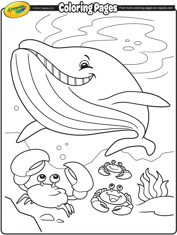 Whale coloring page