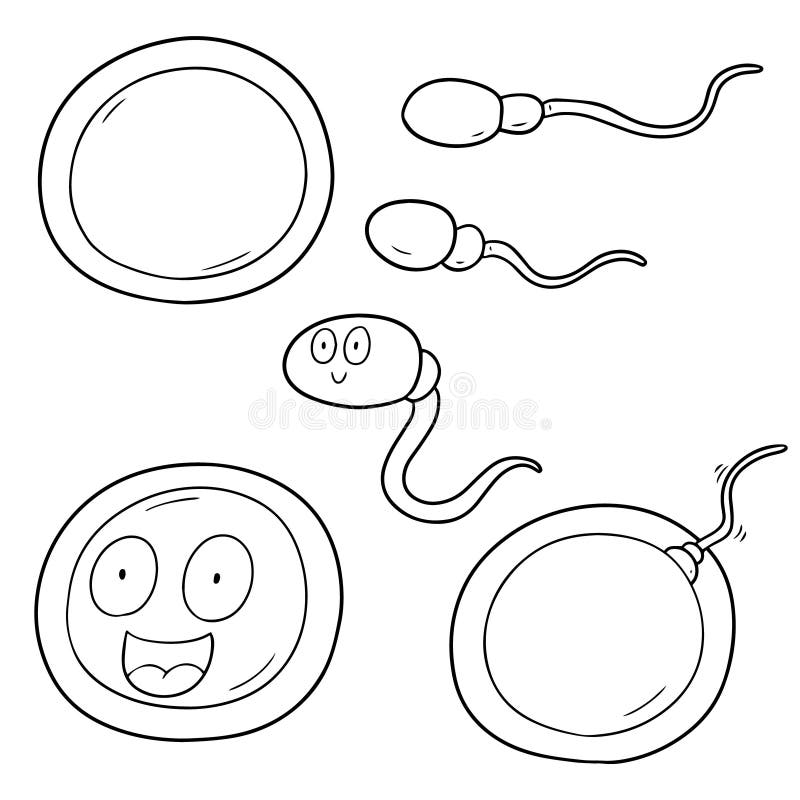 Smile sperm stock illustrations â smile sperm stock illustrations vectors clipart