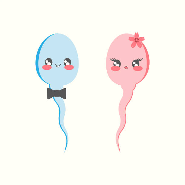 Drawing of the funny of sperm stock illustrations royalty