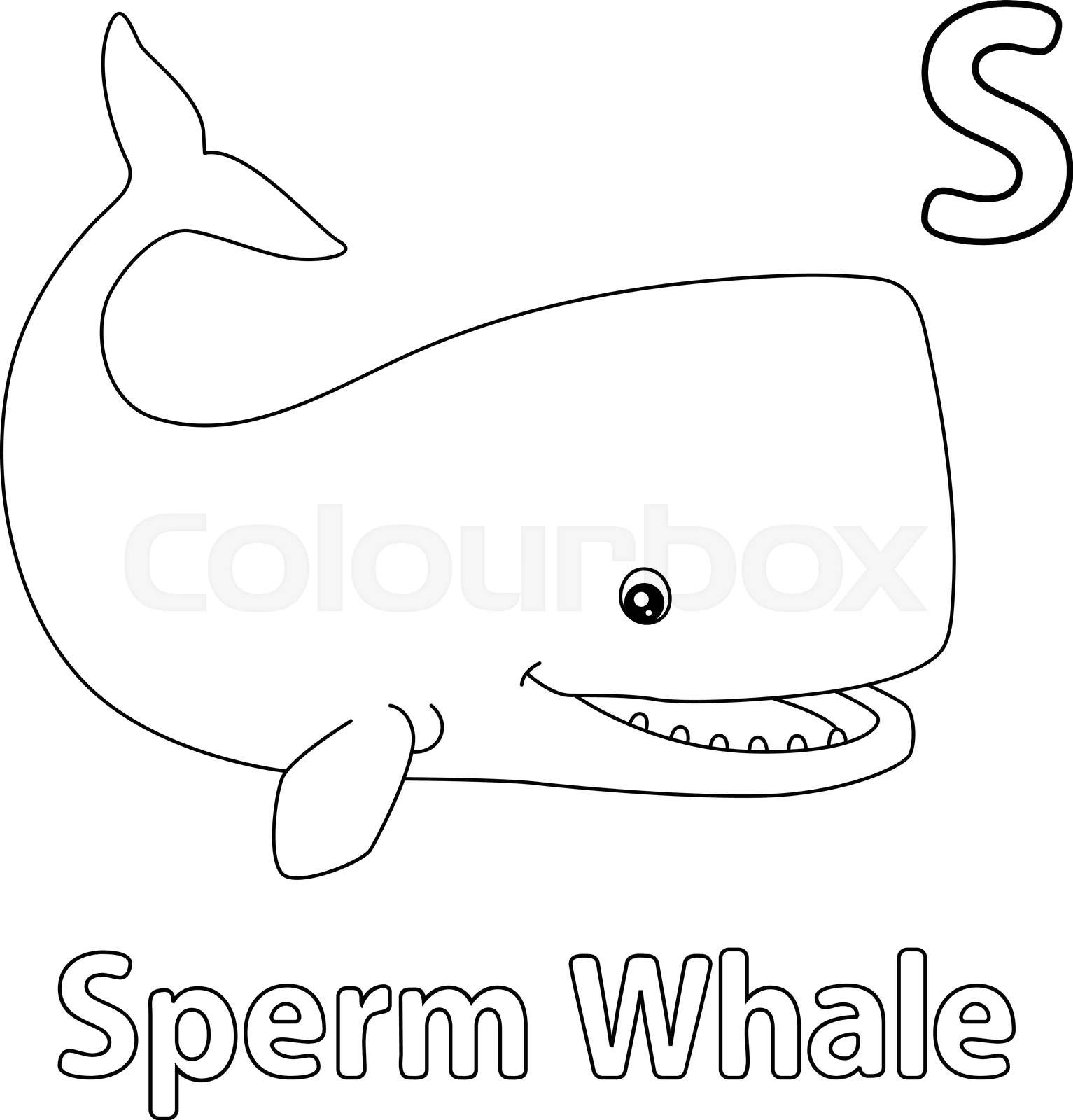 Sperm whale alphabet abc coloring page s stock vector