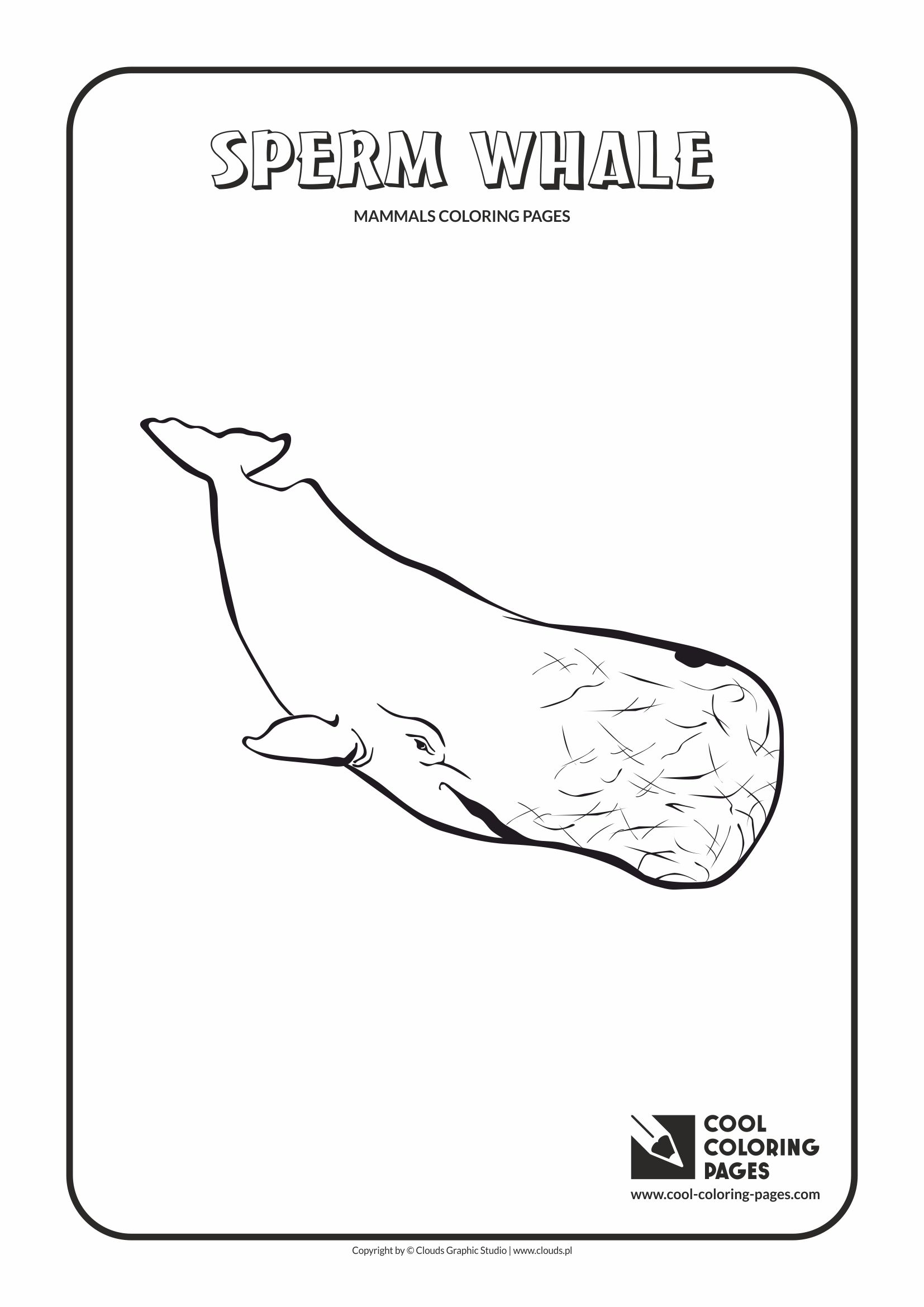 Cool coloring pages sperm whale coloring page