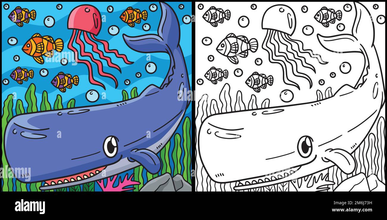 Sperm whale coloring page colored illustration stock vector image art