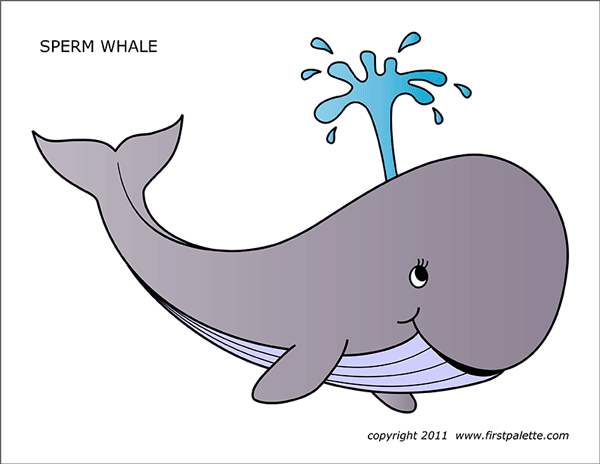 Whale free printable templates coloring pages