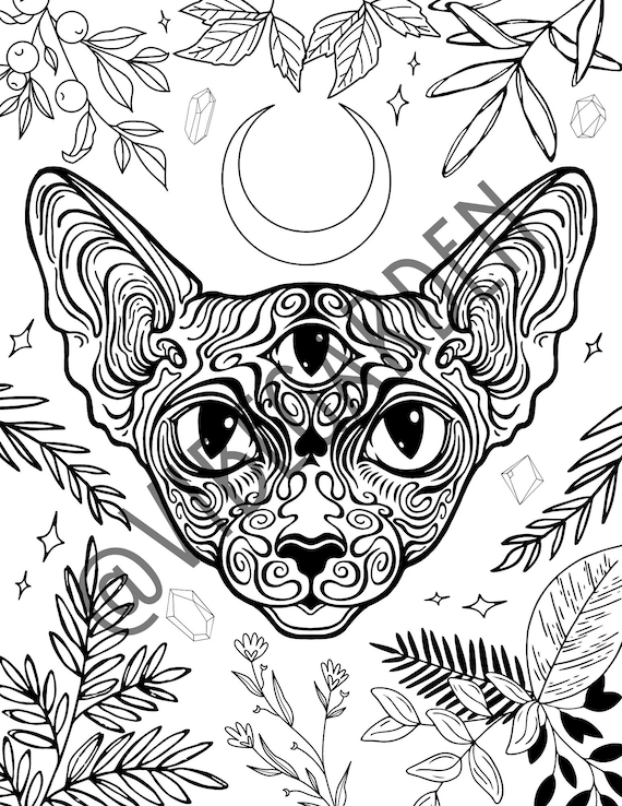 Magic sphynx cat printable coloring page